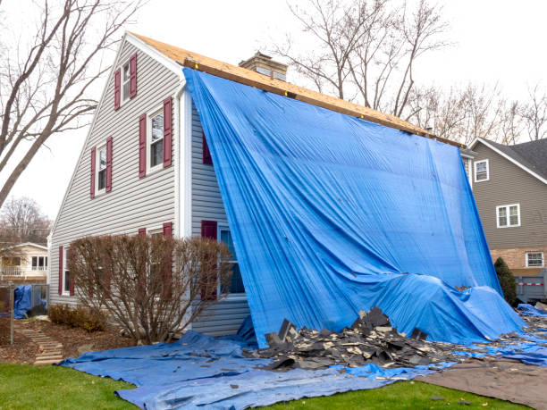 Best Historical Building Siding Restoration  in Kings Park West, VA