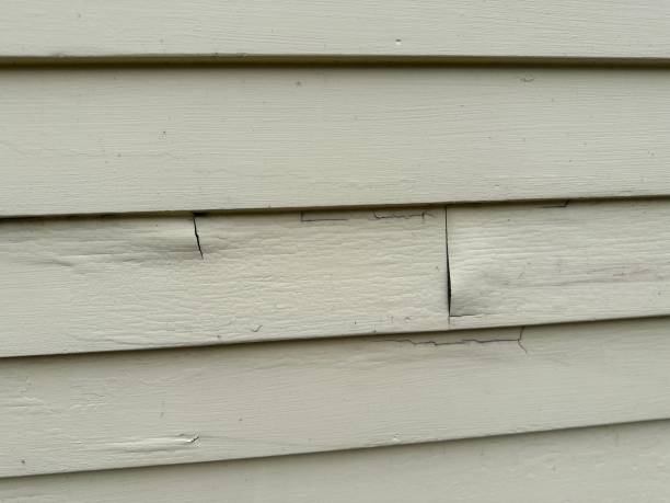 Best Custom Siding Design  in Kings Park West, VA